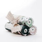 Limitiertes Weihnachtsset "Lippenpflege"